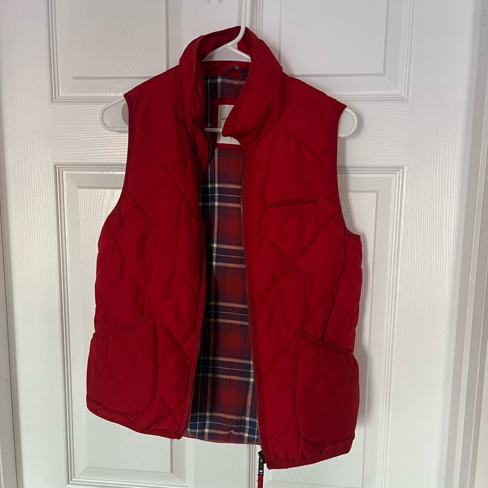 Padded Stable Vest